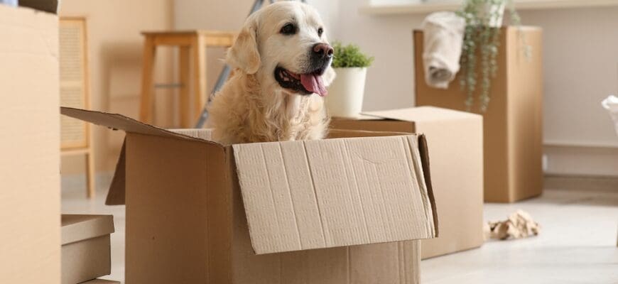 A winter move in Portland comes with real weather, and you feel it immediately. Rainy days, early sunsets, and slick sidewalks can slow every step. At ORO in Portland, OR, you can stay on track by packing to protect your items and planning your day with clear priorities. A strong apartment move-in checklist keeps the details from slipping, even when the weather tries to distract you. Use these winter moving tips to move in confidently, then complete a renter-friendly reset that fits into one weekend. Packing tips for rainy moving days Use plastic bins for essentials and electronics, because rain can ruin cardboard fast. Keep extra towels and a small mat in your car, so you can dry hands and shoes as you go. Double-bag liquids and label them clearly, because leaks spread quickly in damp conditions. Pack one “first night” tote with chargers, toiletries, and warm layers, and keep it with you. When you pack for Portland weather, you reduce stress and protect your things. Apartment move-in checklist for a smooth arrival Start with a walkthrough before unloading, then document the condition of the space with photos. Test lights, outlets, faucets, and windows right away, because it is easier to track details while the apartment is still empty. Confirm keys and entry access, and keep them in a secure pocket, not on a counter. Wipe high-touch surfaces quickly, because it makes the space feel fresh after a long day. Place boxes in their correct rooms immediately, because hallway piles slow everything down. Setup shortcuts that make the space usable quickly Set up your bed and bathroom first, because they give you stability on day one. Plug in lamps, chargers, and Wi-Fi early, because it helps you settle into your routines immediately. Unpack the kitchen in one focused pass, starting with coffee or tea, a few staples, and basic cookware. Create an entry zone for coats and wet shoes, because winter gear needs a consistent home. When the essentials are ready, you can unpack the rest at a steady pace. New Year reset you can finish in a weekend Start your reset with a declutter session, and remove duplicates before you organize anything. Use bins and dividers to create clear categories, which keeps your storage tidy through the season. Clean thoroughly, then set up a short weekly reset routine that you can finish in fifteen minutes. Add renter-friendly helpers like adhesive hooks and drawer organizers to improve flow without permanent changes. When you finish the weekend, you start the year with a home that feels clear, calm, and easy to maintain.